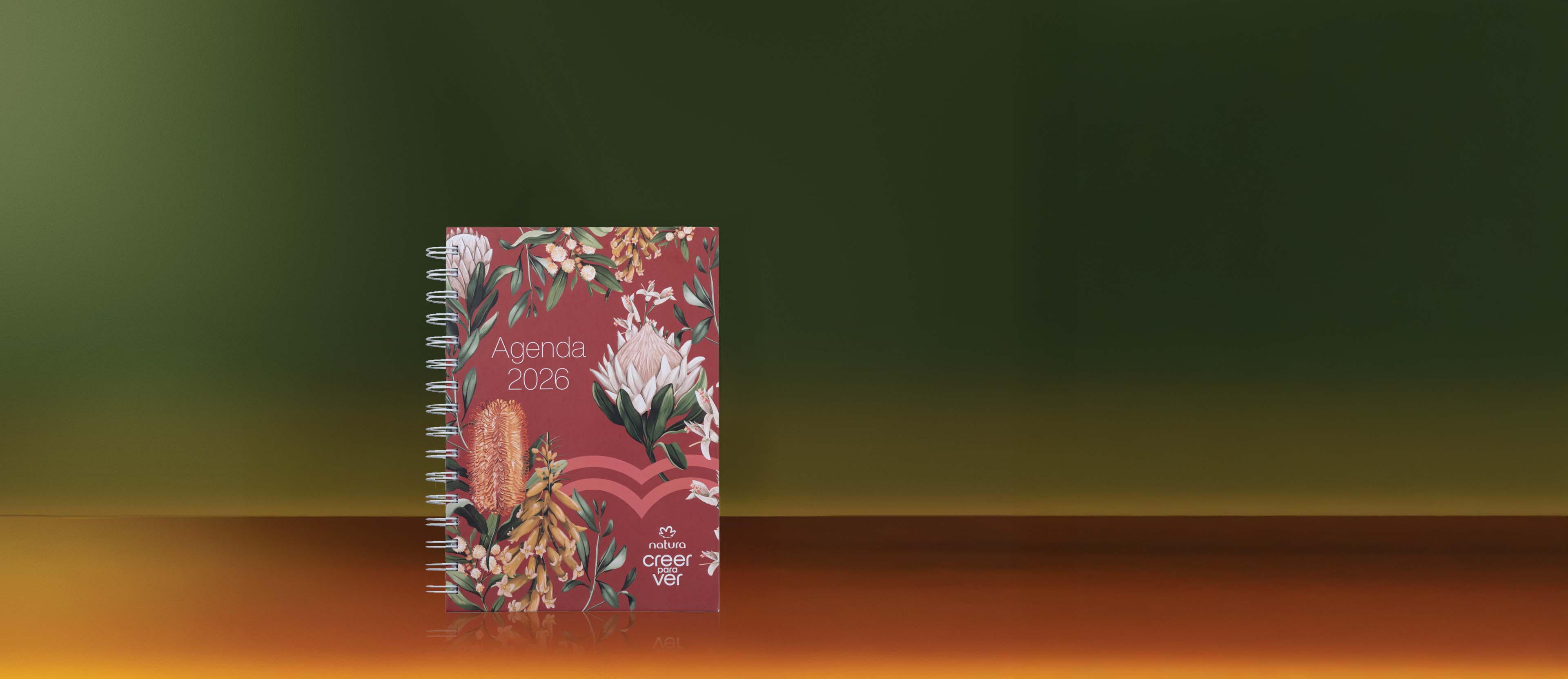 Agenda 2026 Creer para Ver