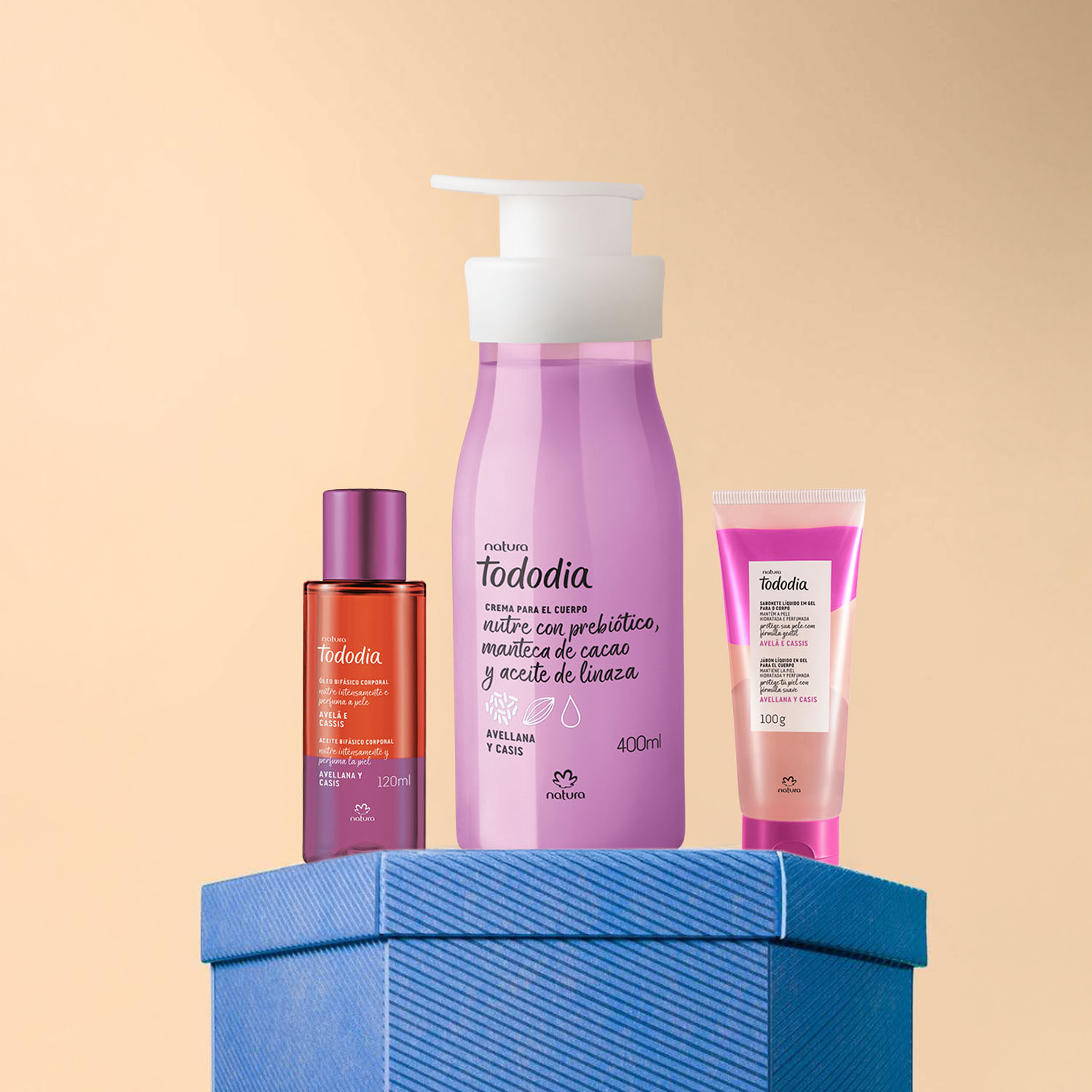 Regalo Tododia Avellana y Casis