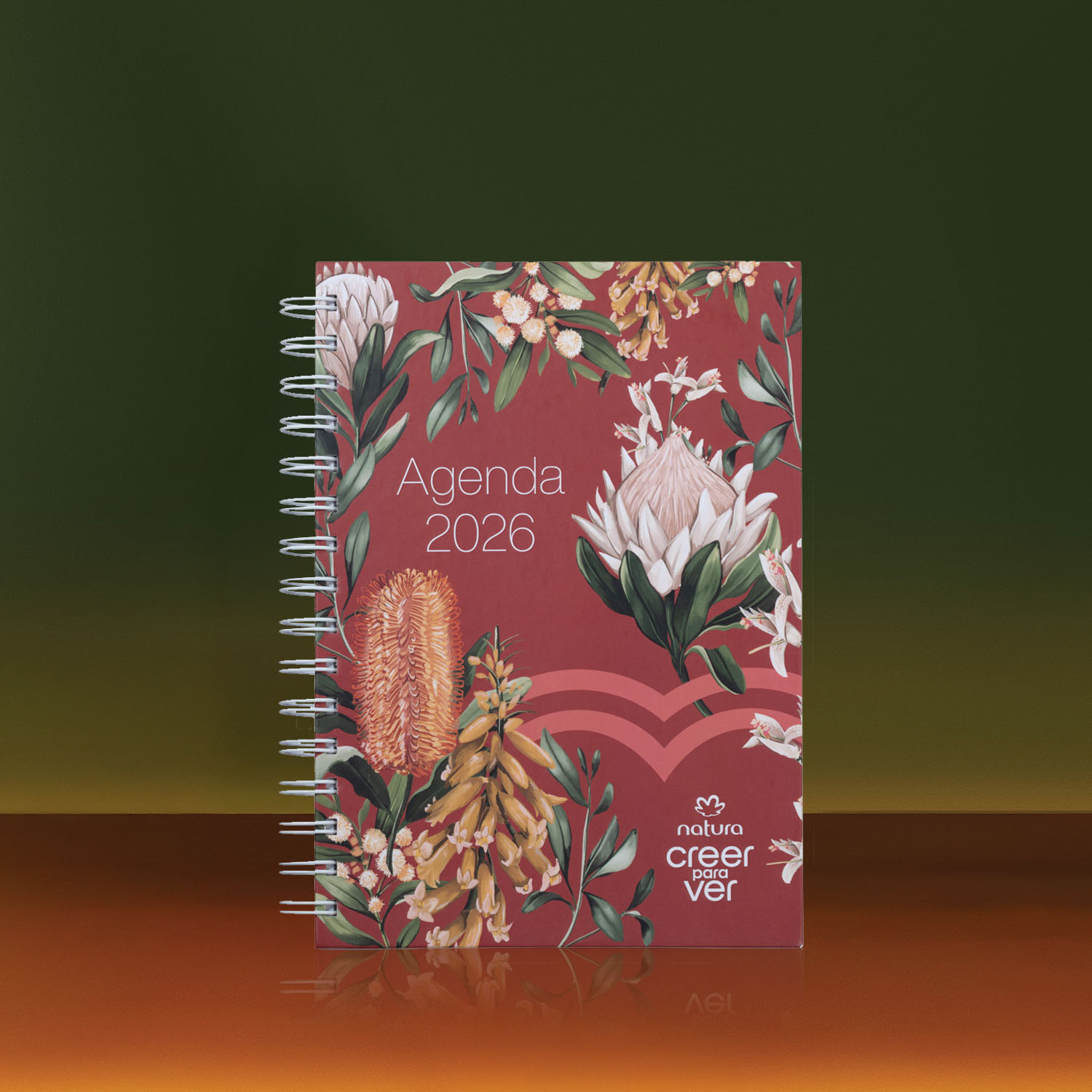 Agenda 2026 Creer para Ver