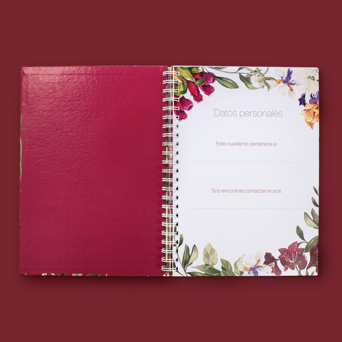 Cuaderno A4 Creer para Ver