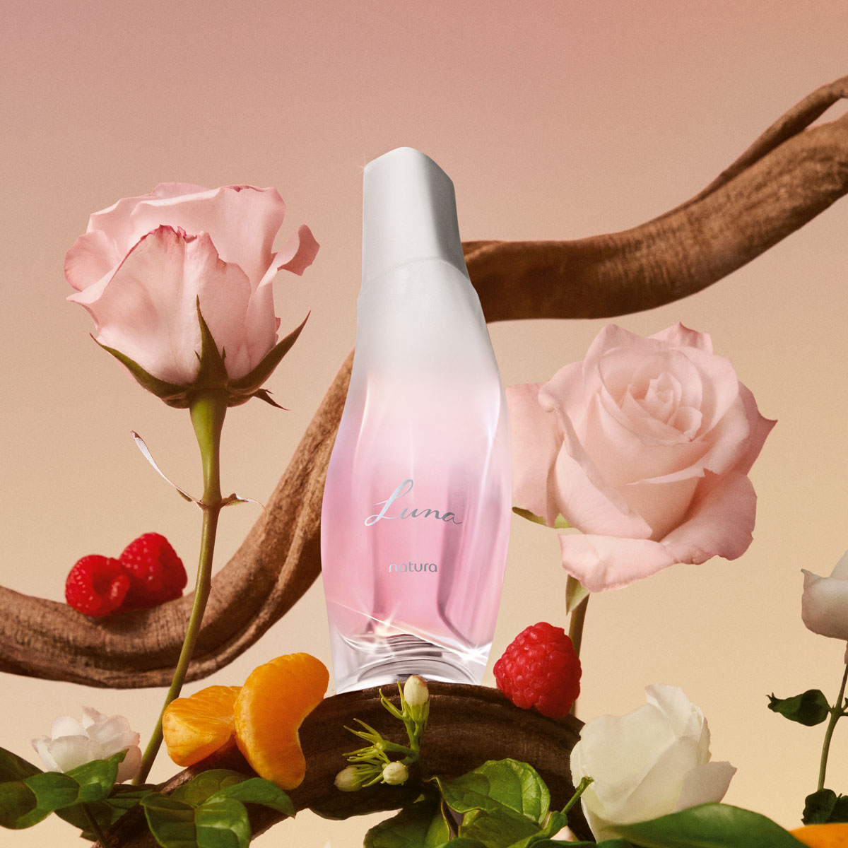 Regalo Luna clásico