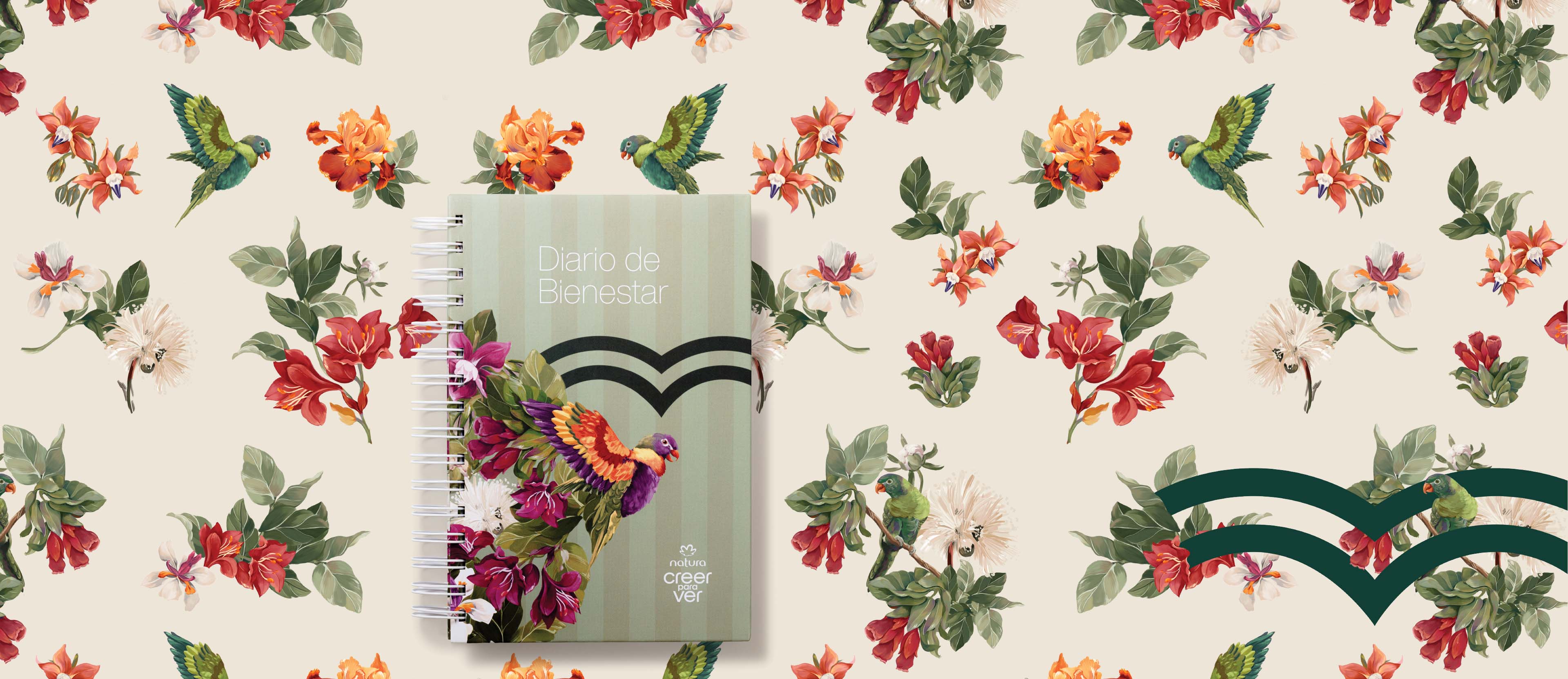 Cuaderno Bienestar Creer para Ver