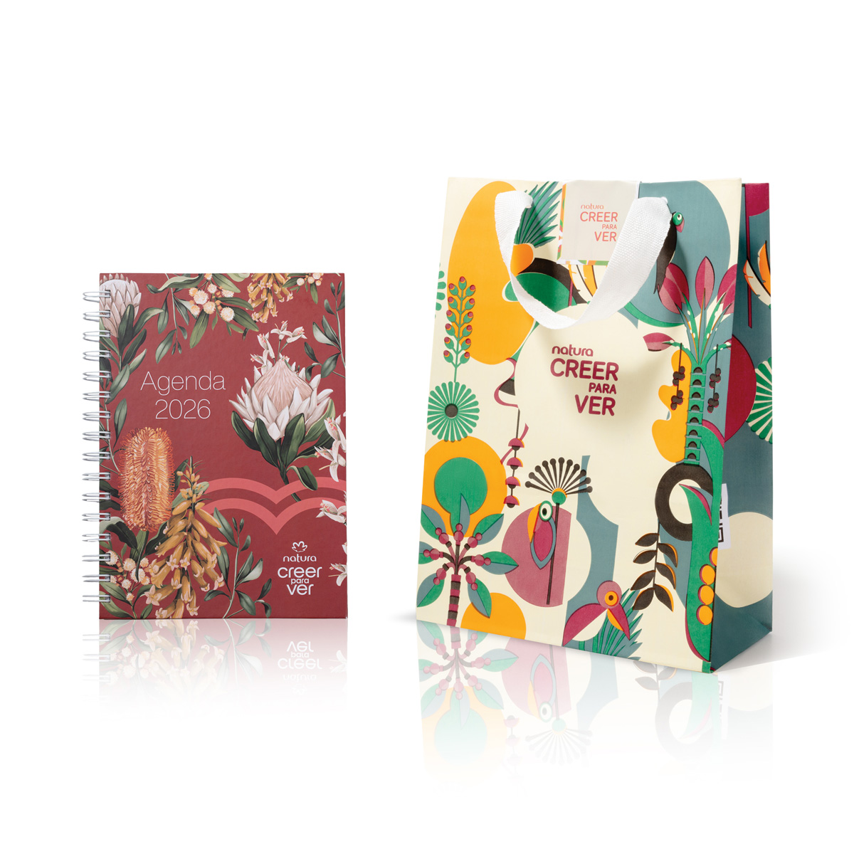 Agenda 2026 Creer para Ver