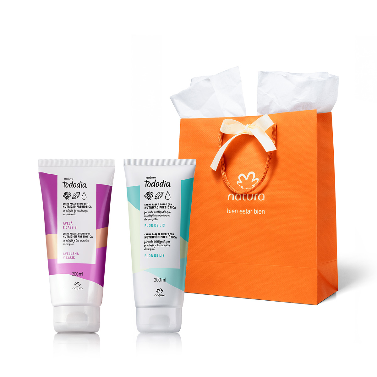 Regalo Tododia Avellana y Casis y Flor de Lis