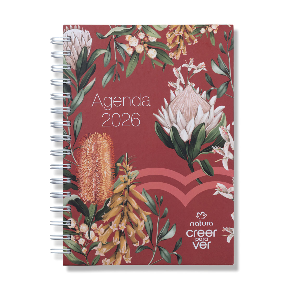 Agenda 2026 Creer para Ver