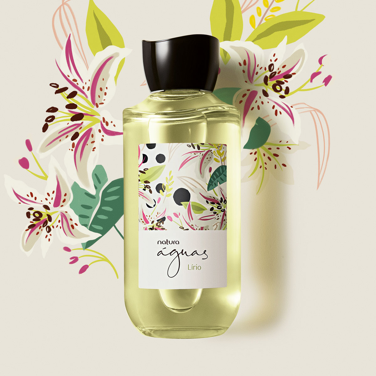 Regalo Águas Lirios