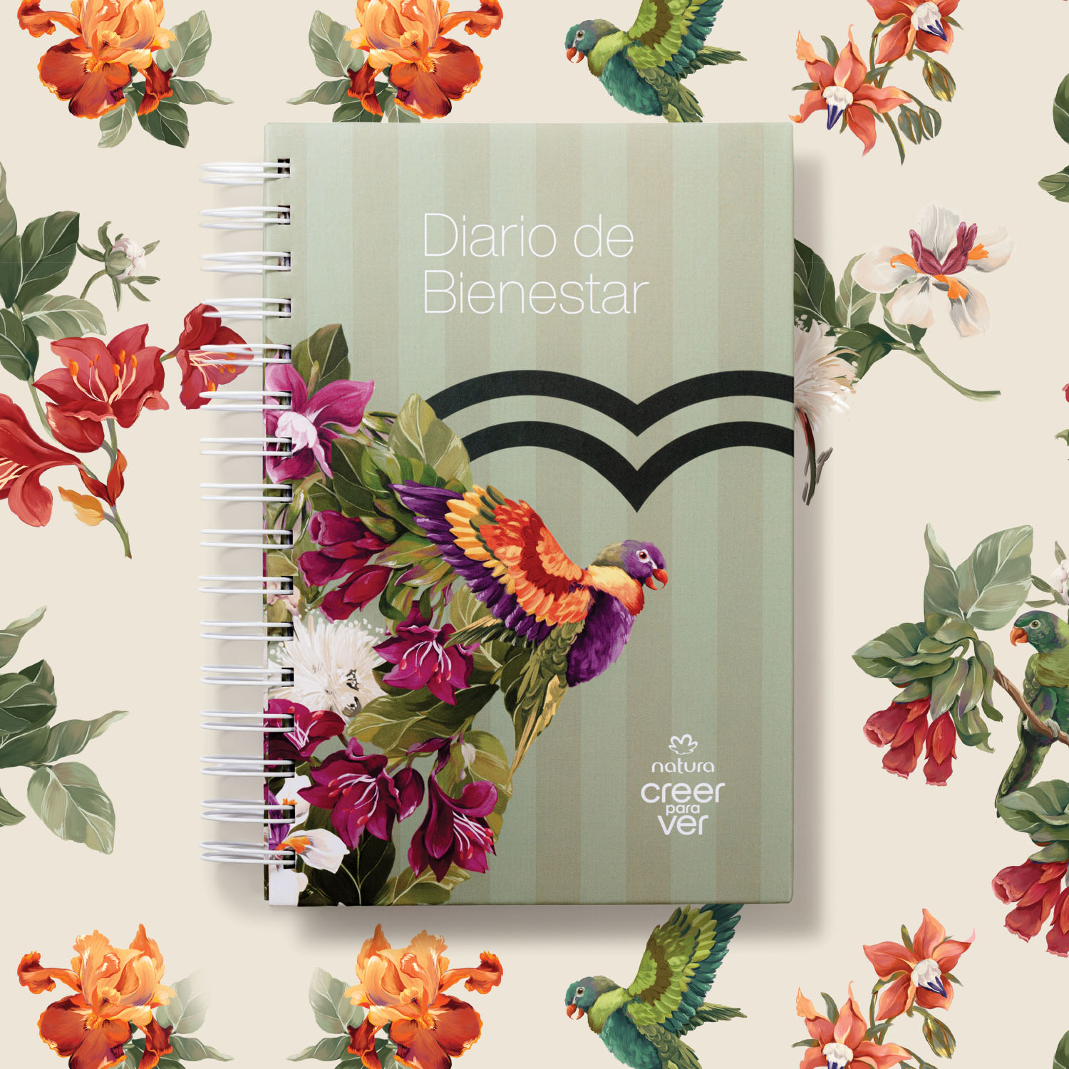Cuaderno Bienestar Creer para Ver