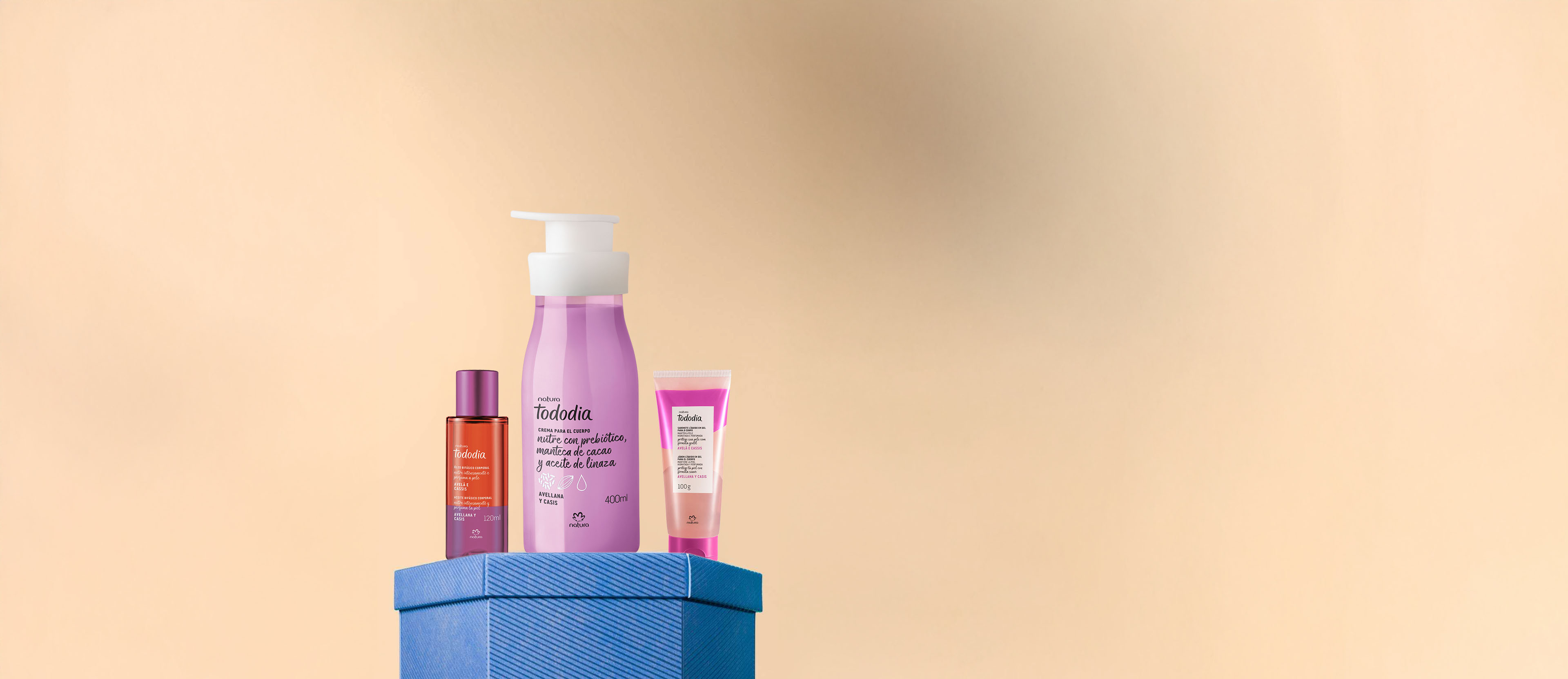Regalo Tododia Avellana y Casis