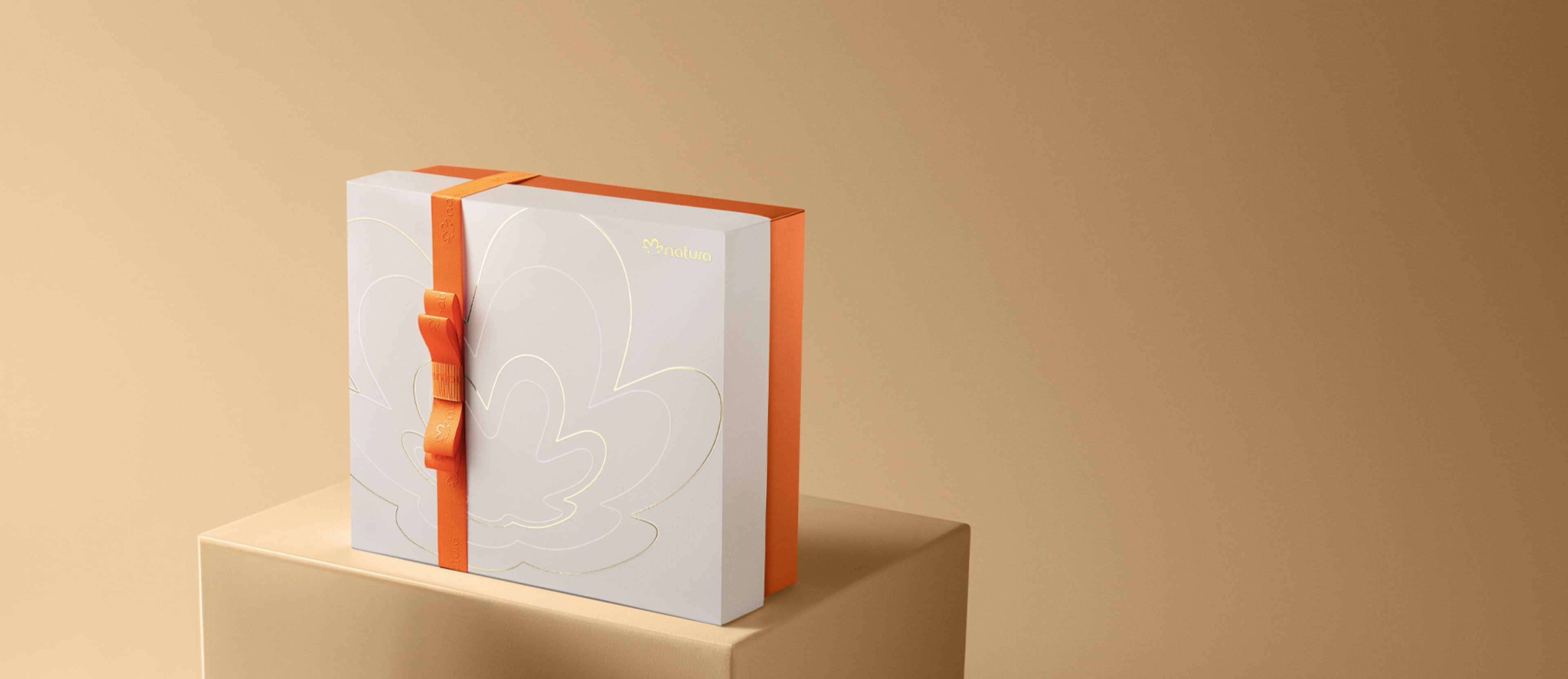 Caixa Especial de Presente Premium