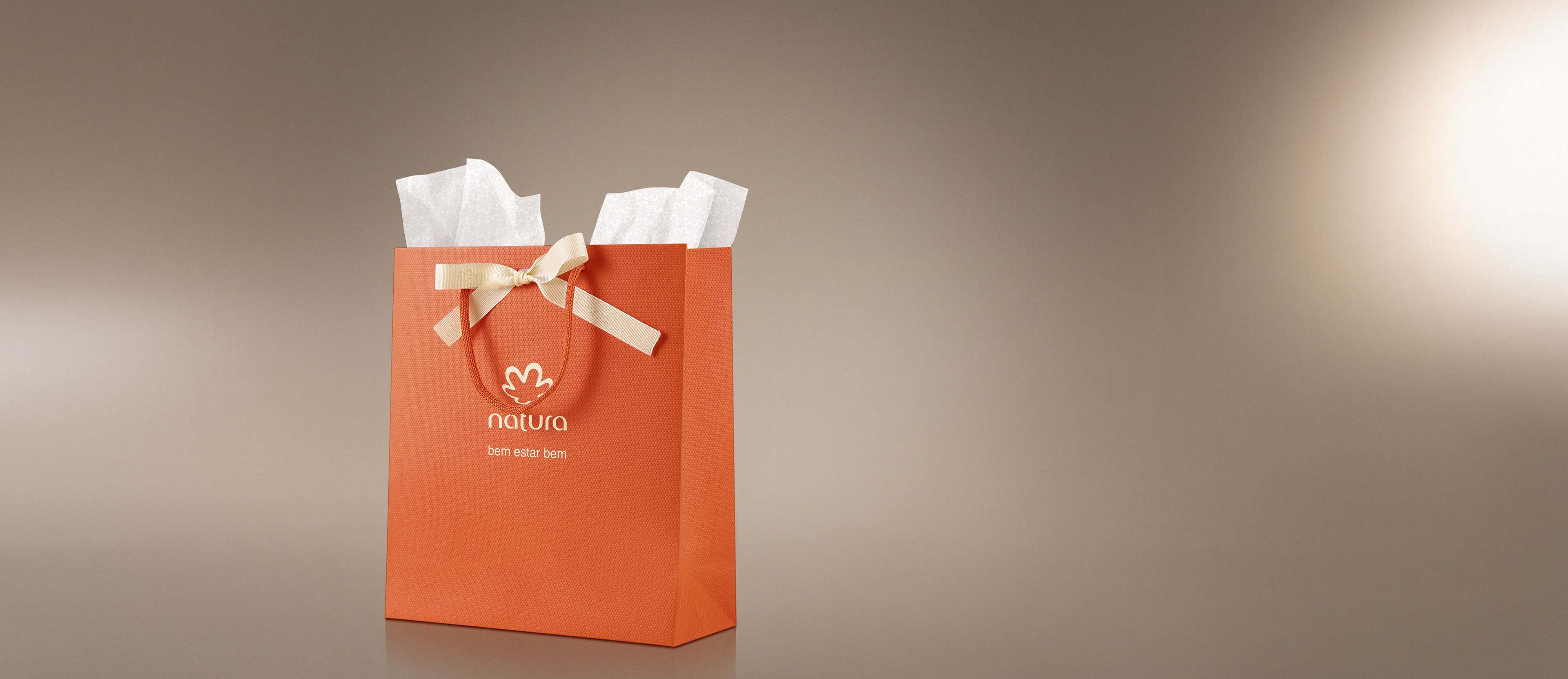 Sacola de Presente P com Laço