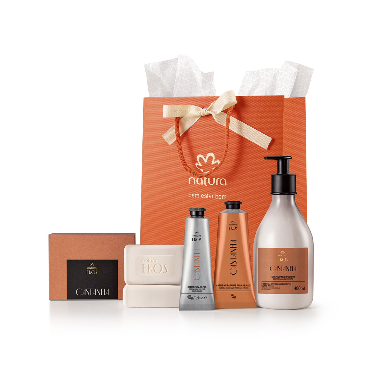 Presente Natura Ekos Castanha Completo (4 produtos)
  