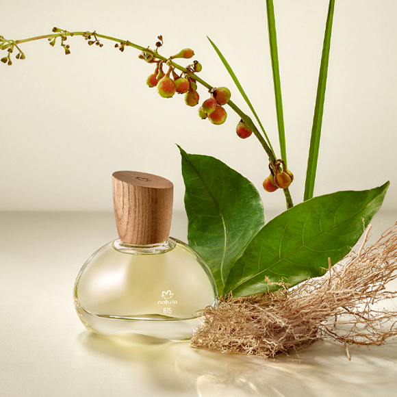 Eau de Parfum Natura 875 Vetiver Capitiú 50 ml