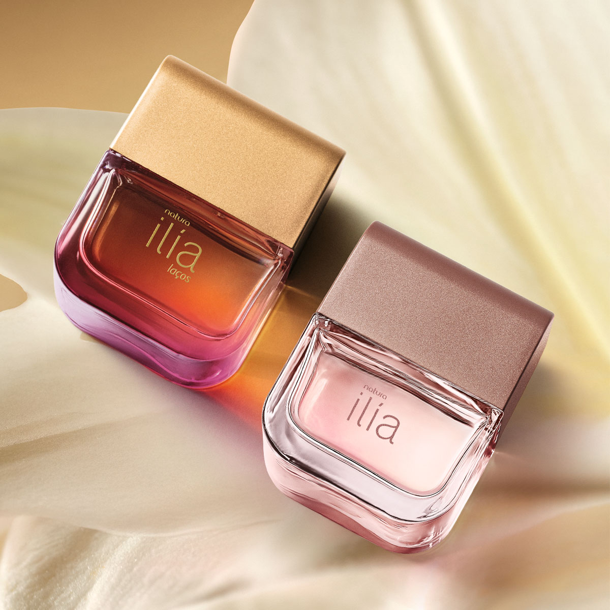 Kit Ilía Laços e Clássico (2 unidades)