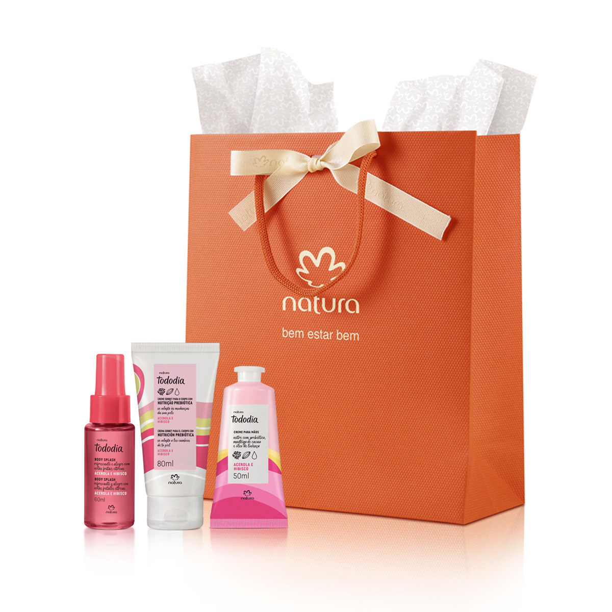 Presente Natura Tododia Acerola e Hibisco (3 produtos)