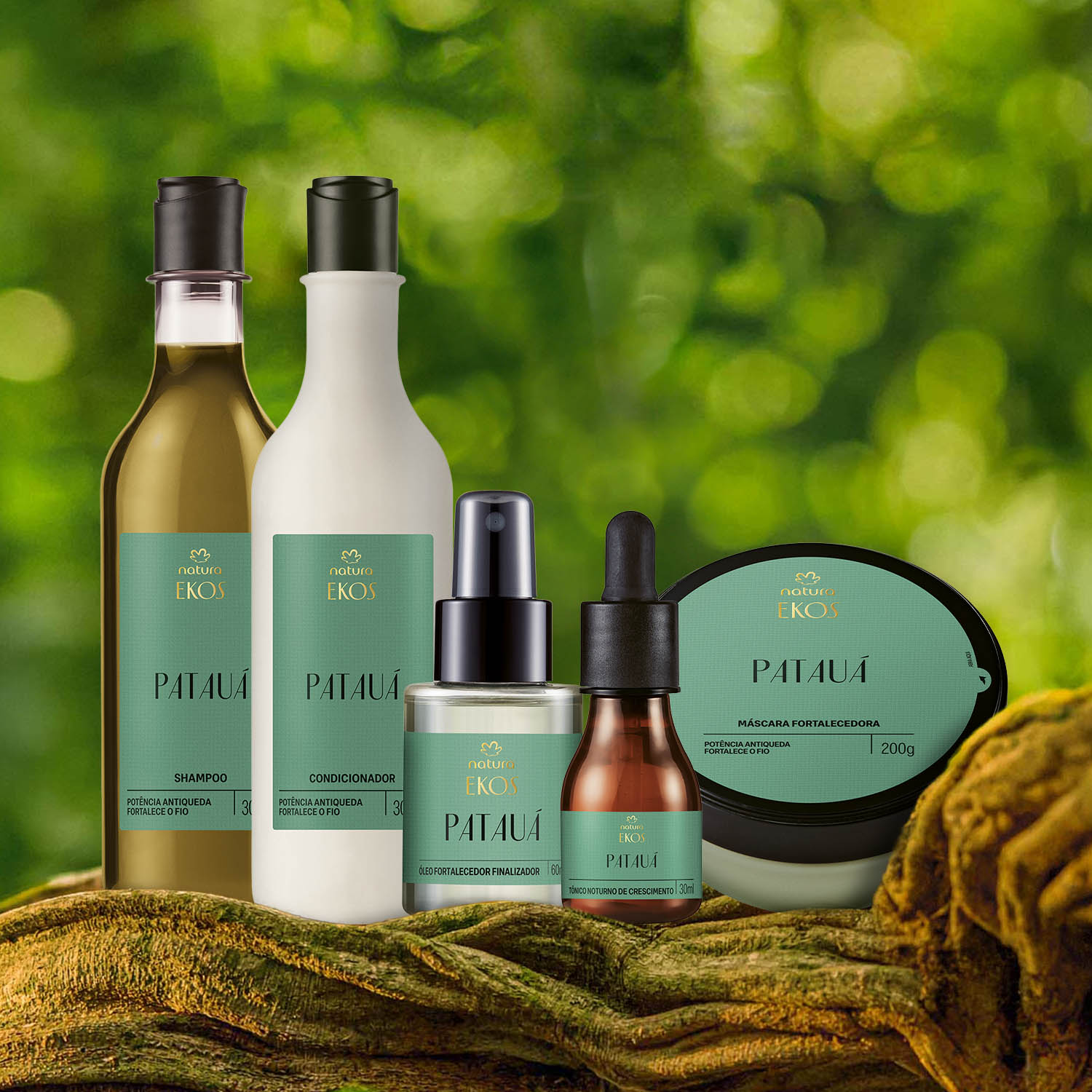 Kit Ekos Patauá Completo