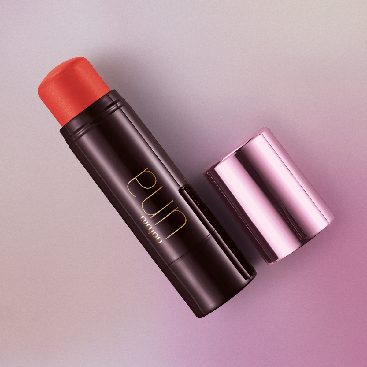 Lip e Blush Stick Una