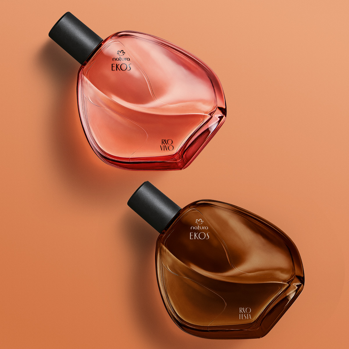 Kit Ekos Ryo Vivo e Ekos Ryo Festa