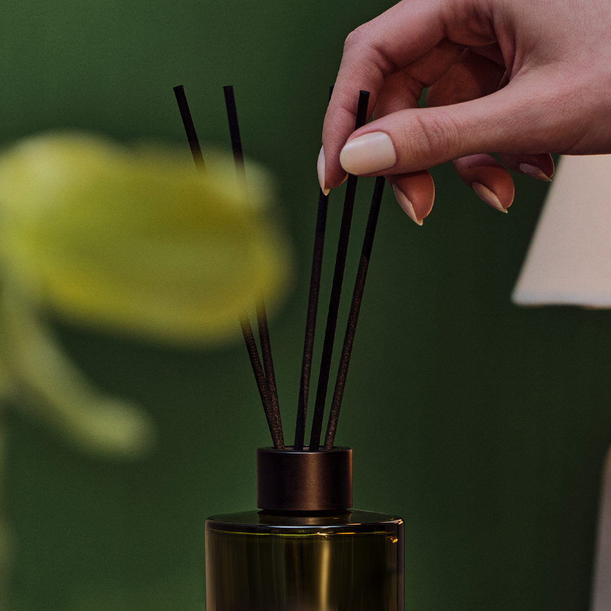 Difusor de Ambiente Natura Bothânica Aura Gingi