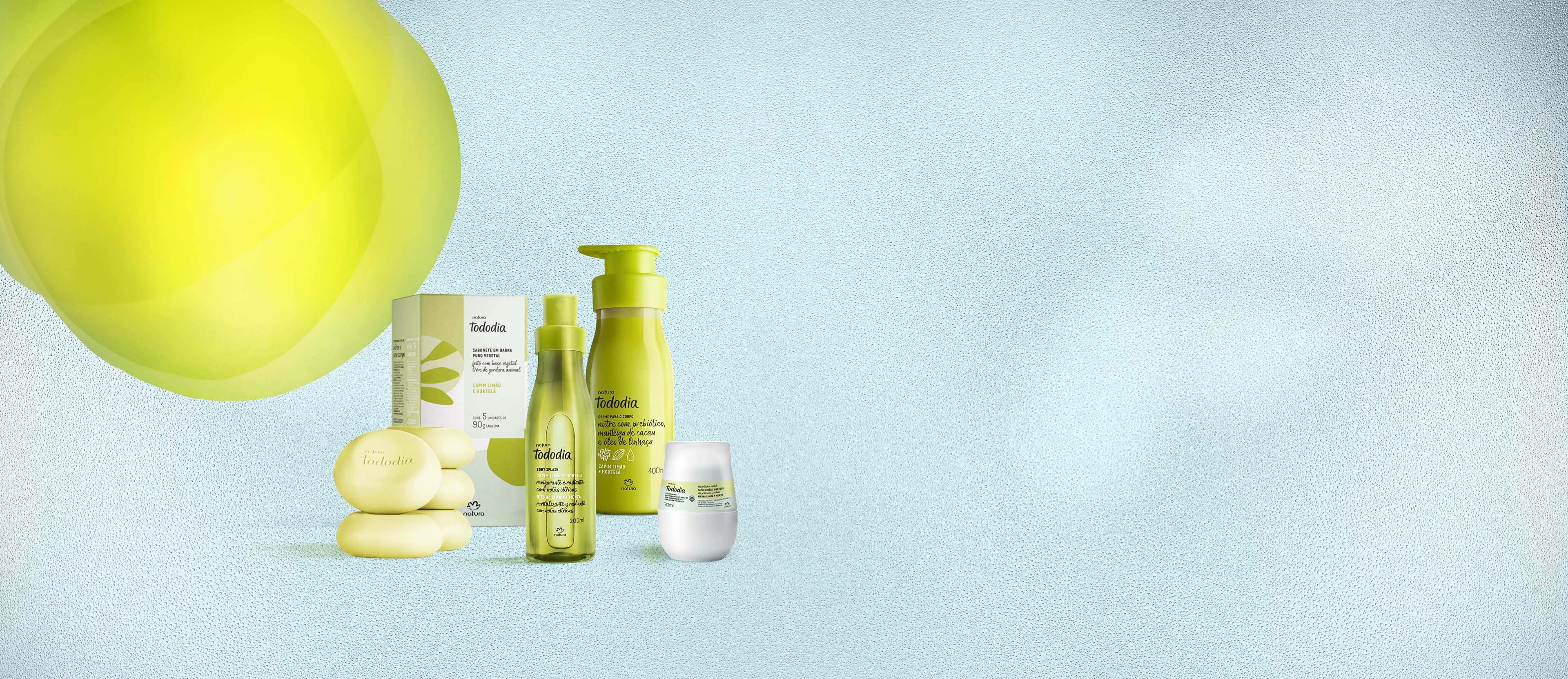 Kit Tododia Capim Limão e Hortelã Completo (4 produtos)