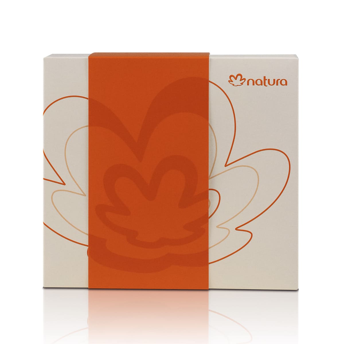 Caixa Especial de Presente P