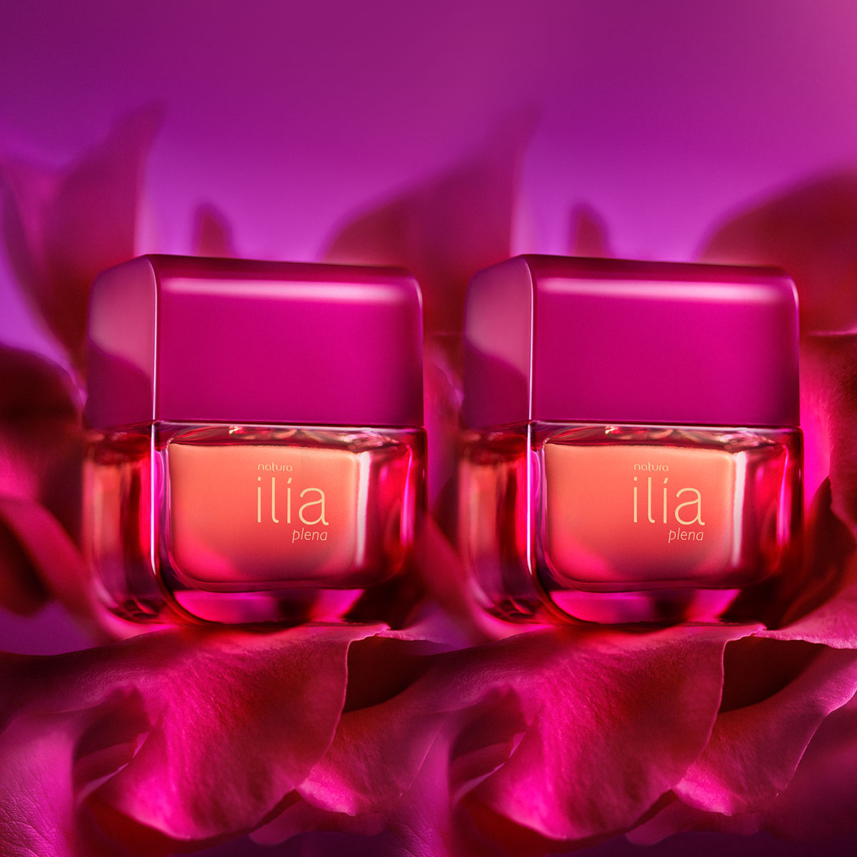 Kit Ilía Plena (2 unidades)