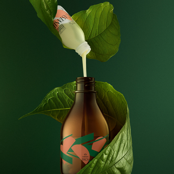 Kit Concentrado Corporal em Creme Ekos Castanha