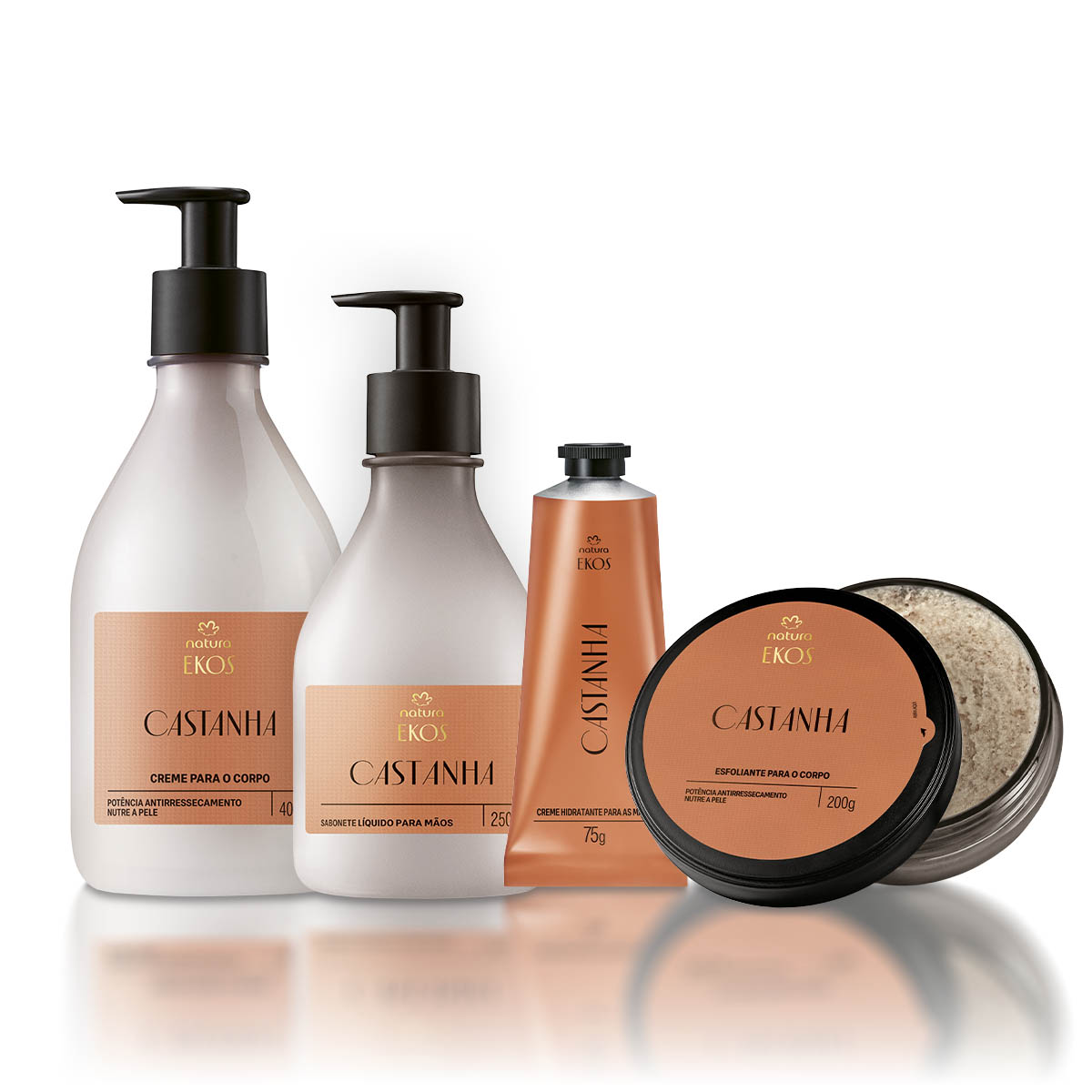 Kit Ekos Castanha Completo