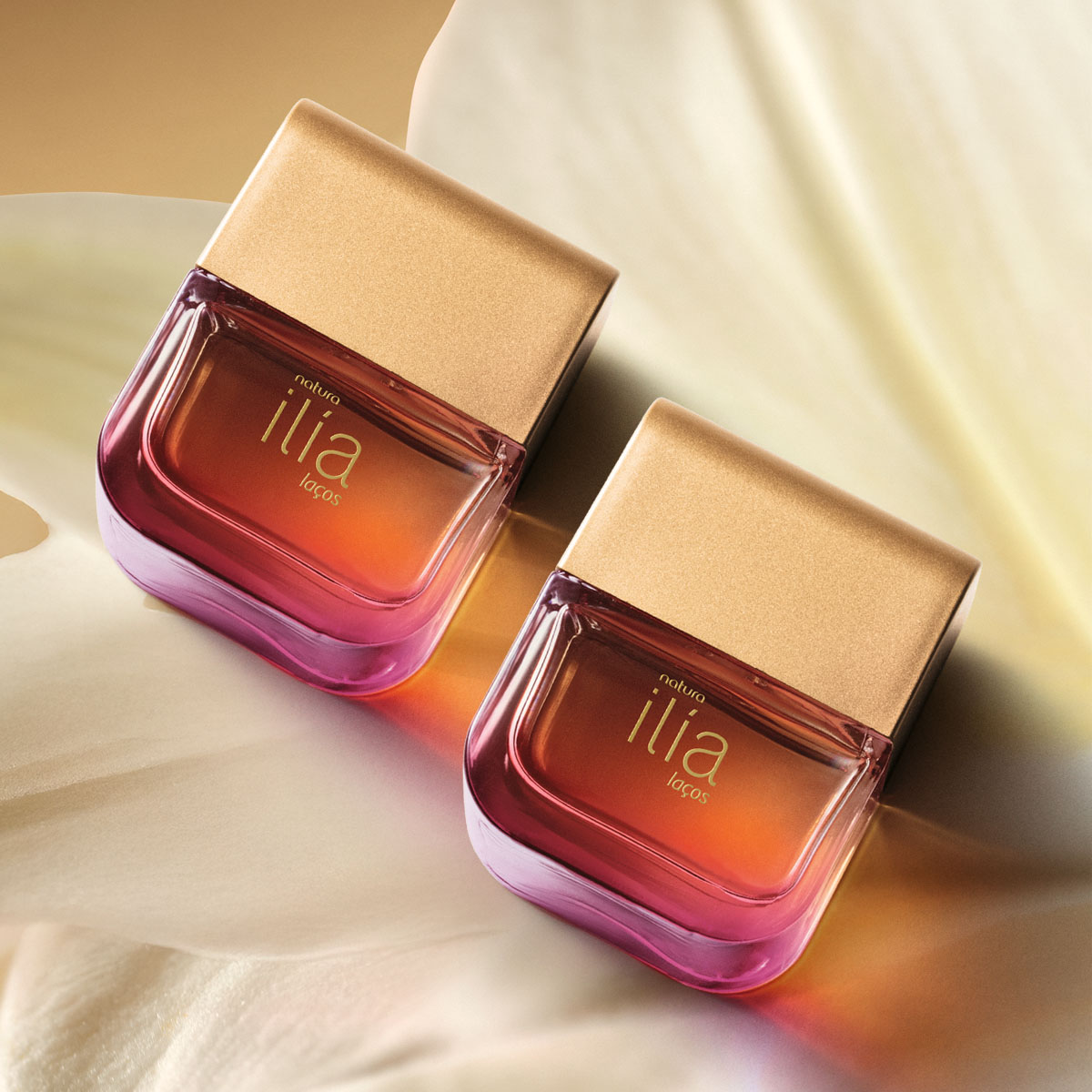 Kit Ilía Laços (2 unidades)