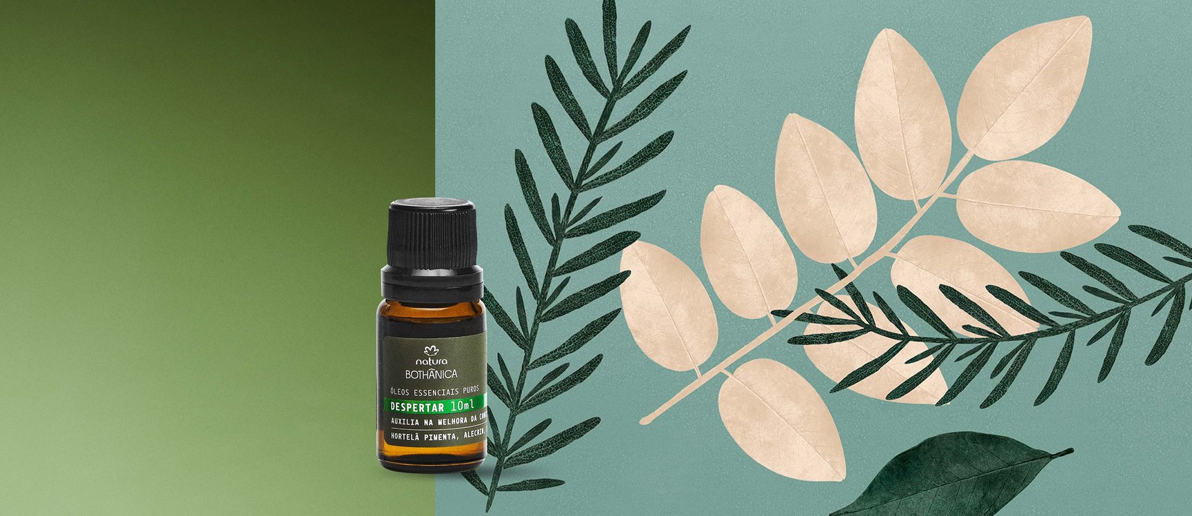 Blend de Óleos Essenciais Despertar Bothânica