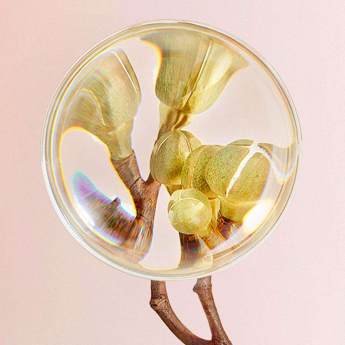 Sérum Intensivo Lifting & Firmeza Chronos