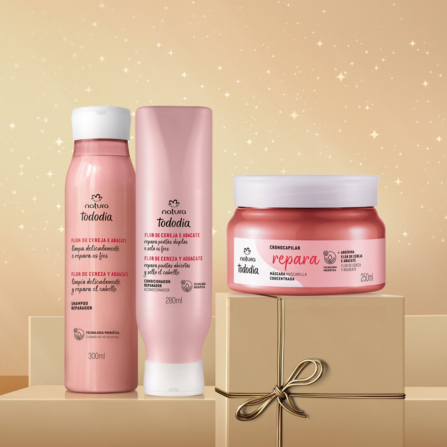 Presente Natura Tododia Reparação (3 produtos)