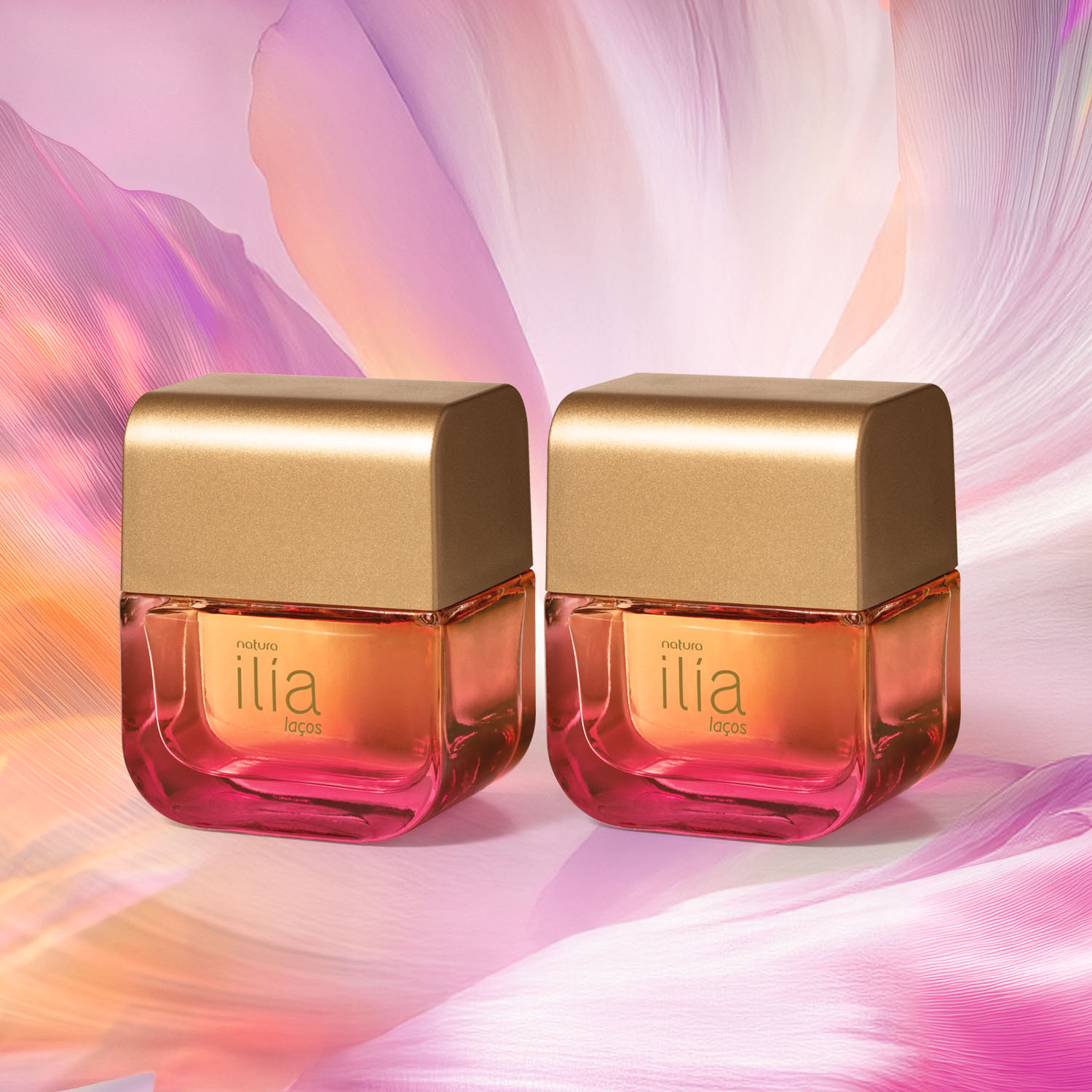 Kit Ilía Laços (2 unidades)