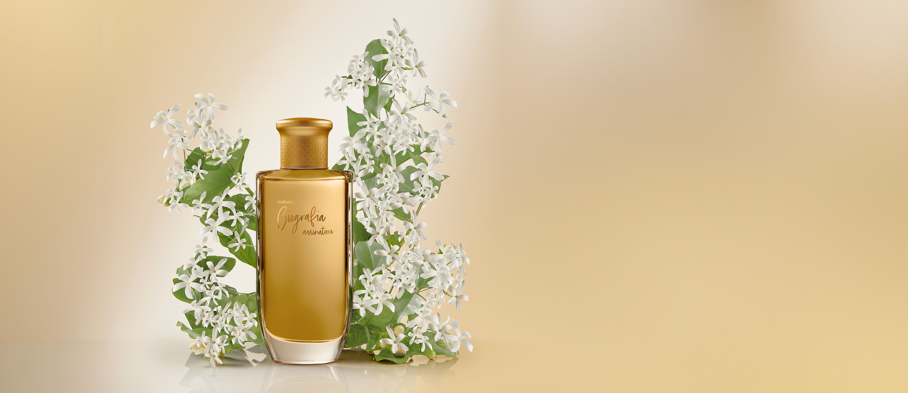 Biografia Assinatura Feminino 100 ml