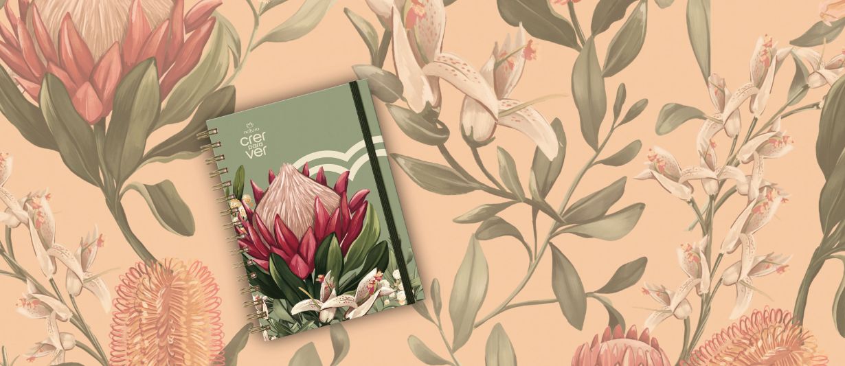 Caderno Crer para Ver