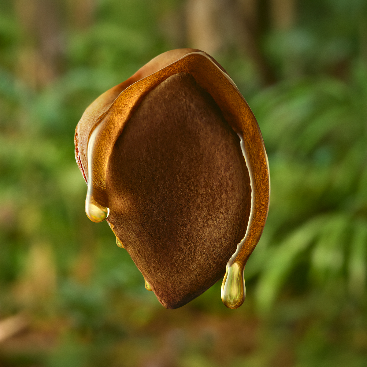 Óleo Trifásico Desodorante Corporal Ekos Andiroba