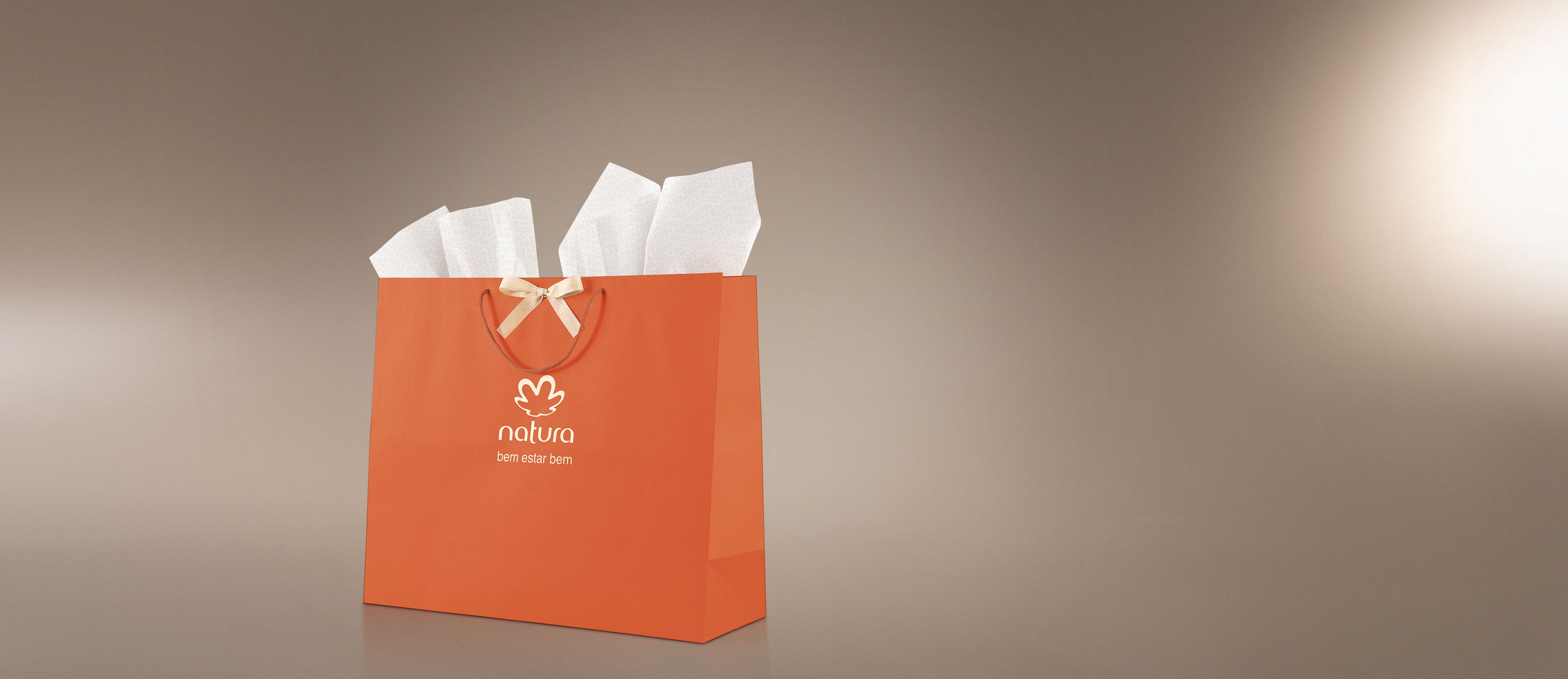 Sacola de Presente G com Laço