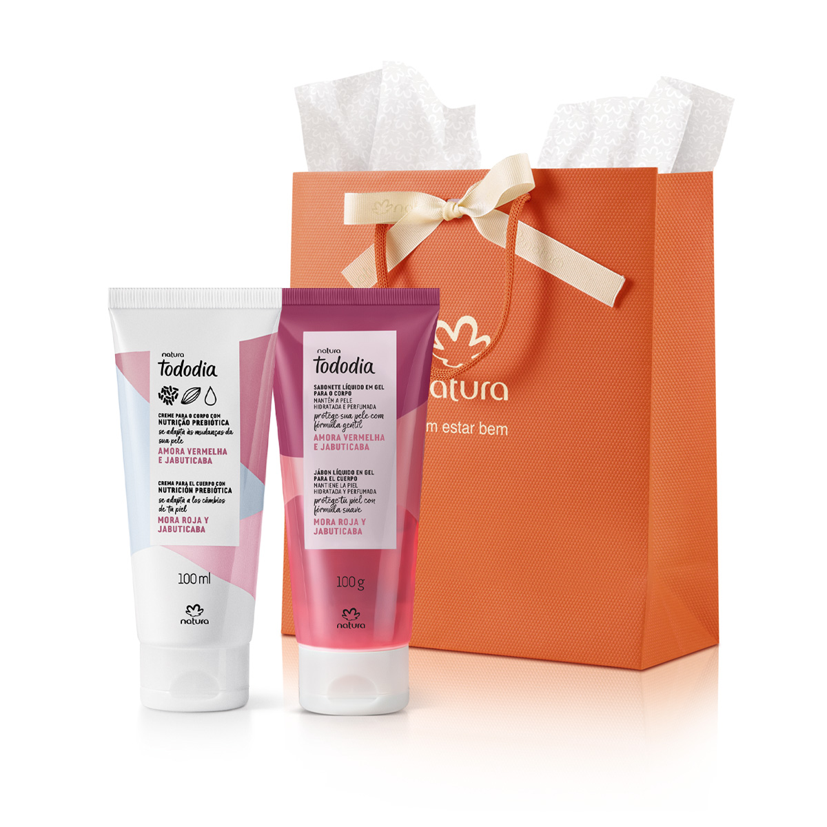 Presente Natura Tododia Amora Vermelha e Jabuticaba (2 produtos)
  