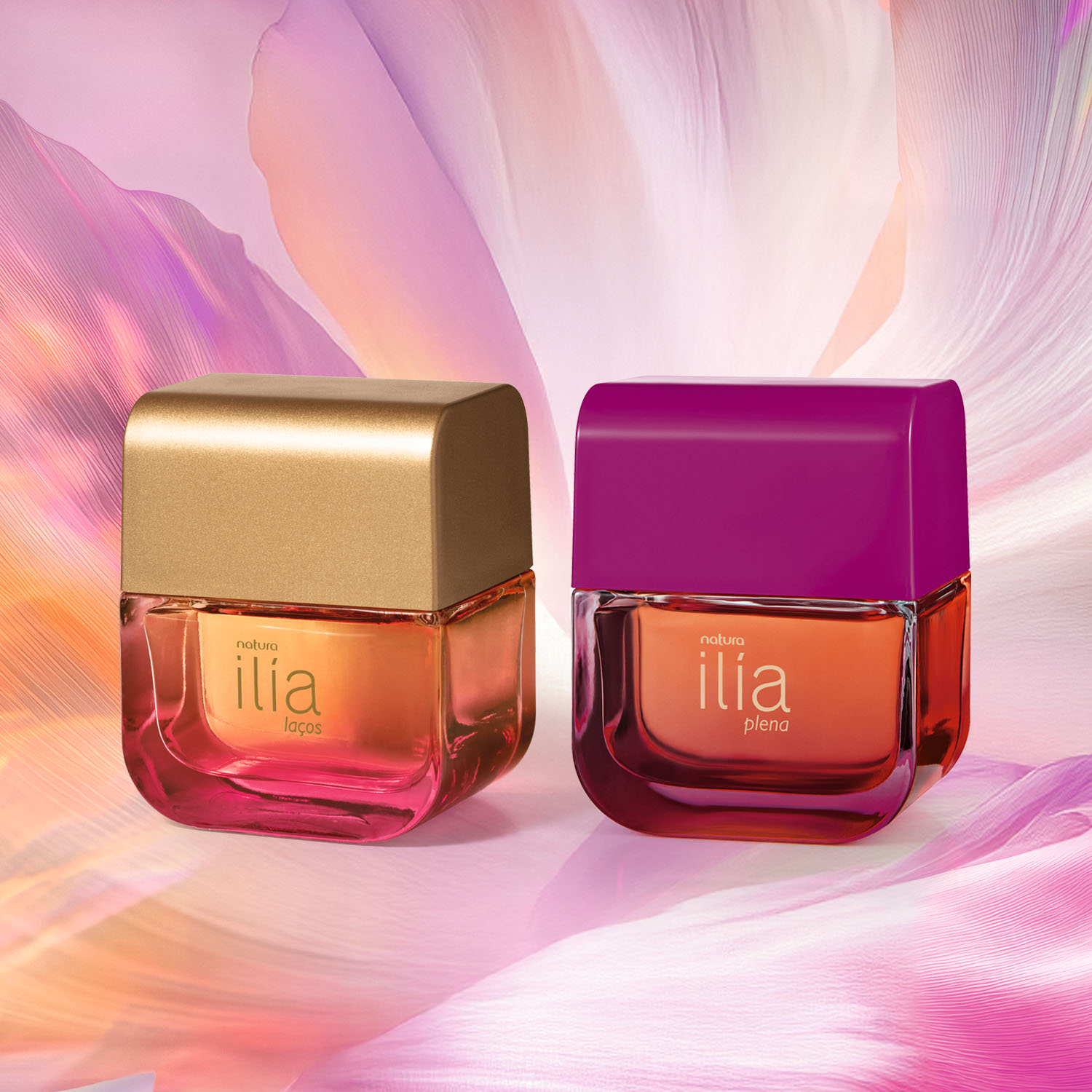 Kit Ilía Laços e Plena (2 unidades)