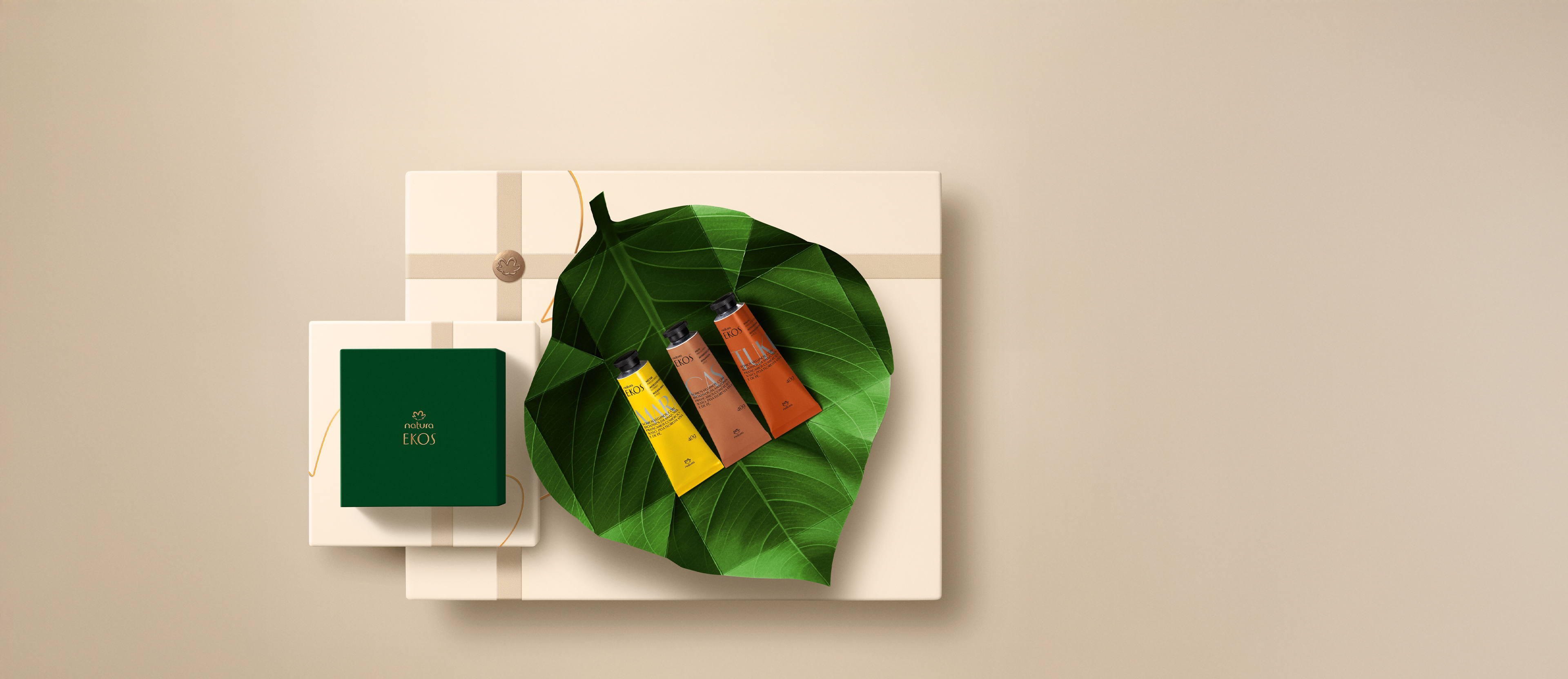 Presente Natura Ekos Amazônia em Folha Trio para as Mãos