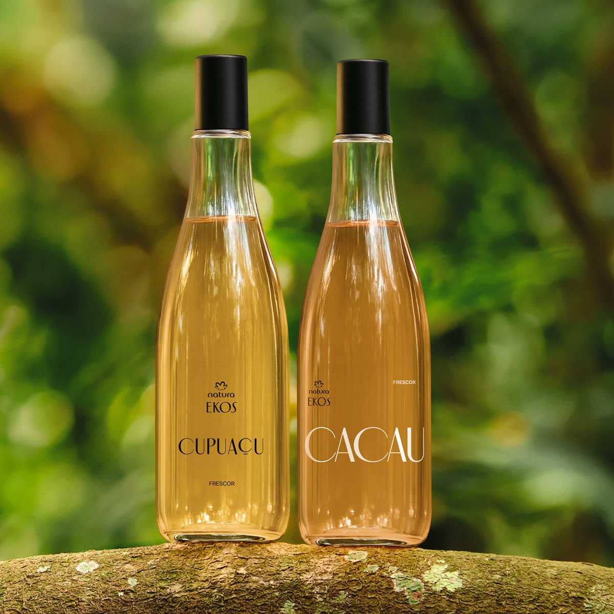 Presente Dia das Mães Natura Ekos Cupuaçu e Cacau