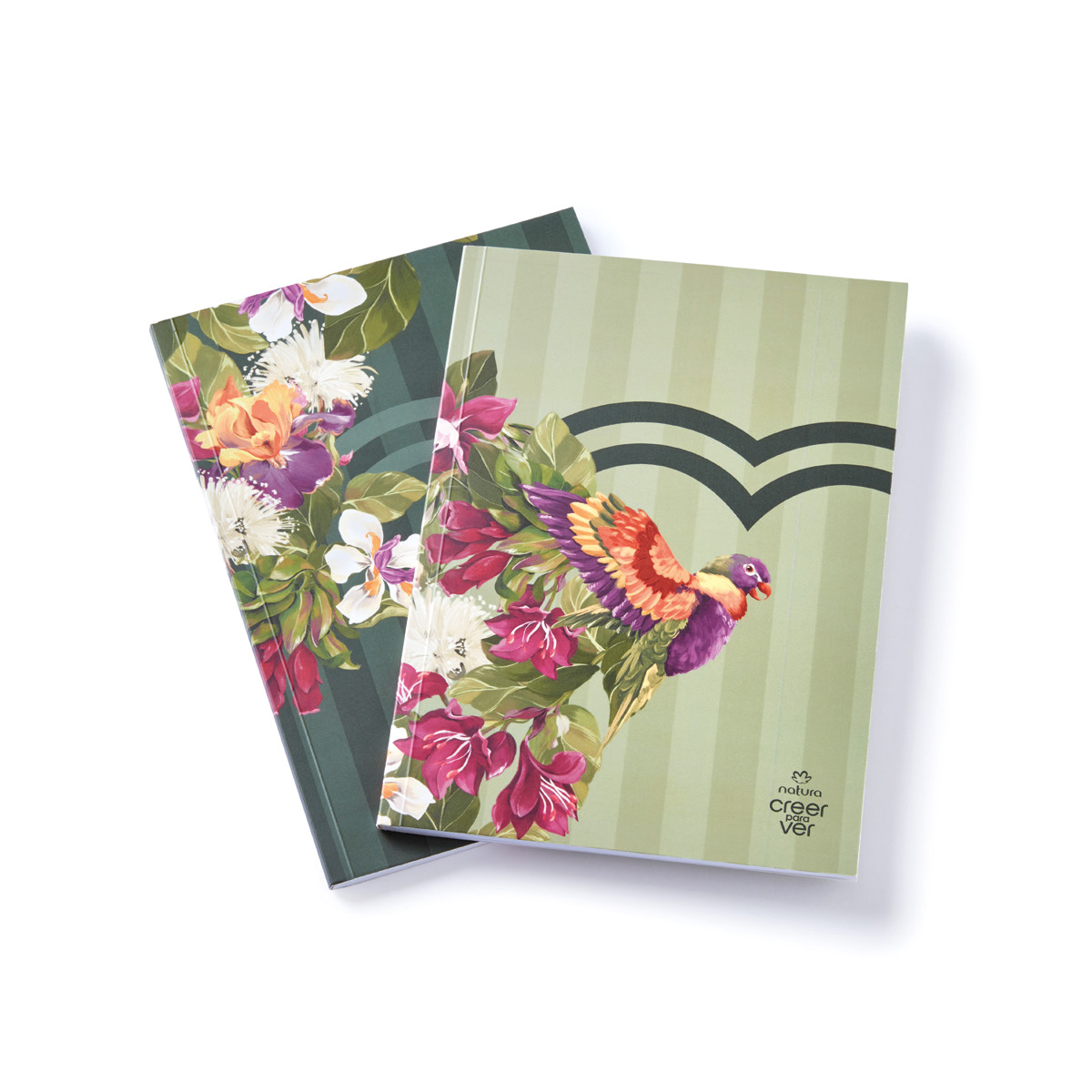 Set Cuadernos Creer para Ver