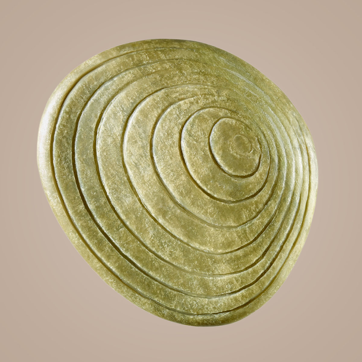 Shampoo en Barra uso diario Biome 90g