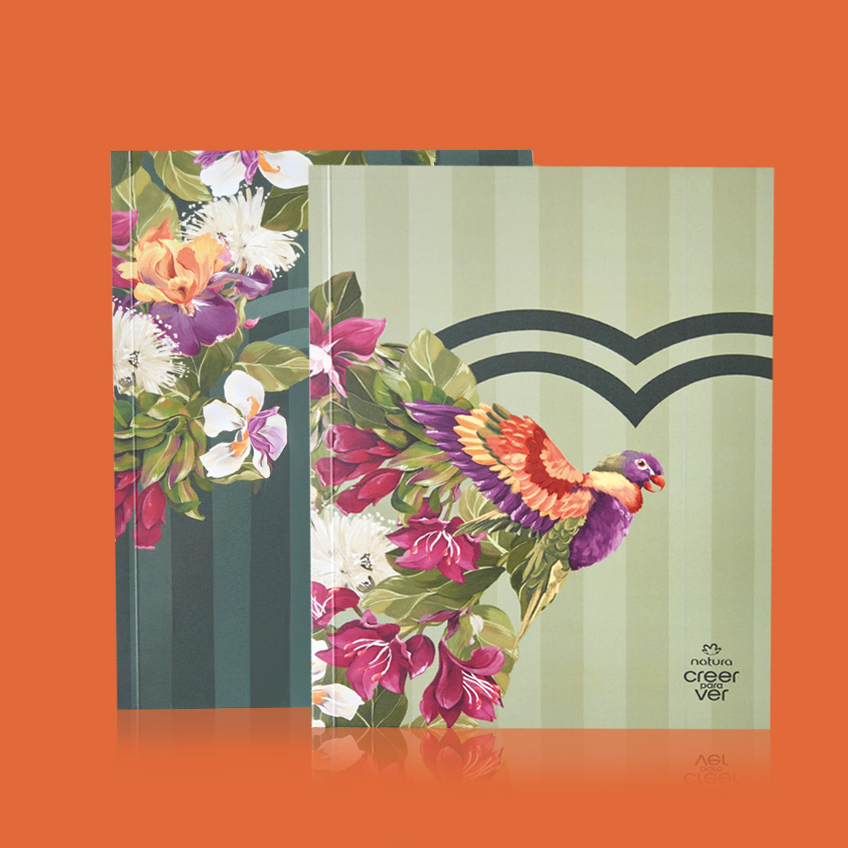 Set Cuadernos Creer para Ver