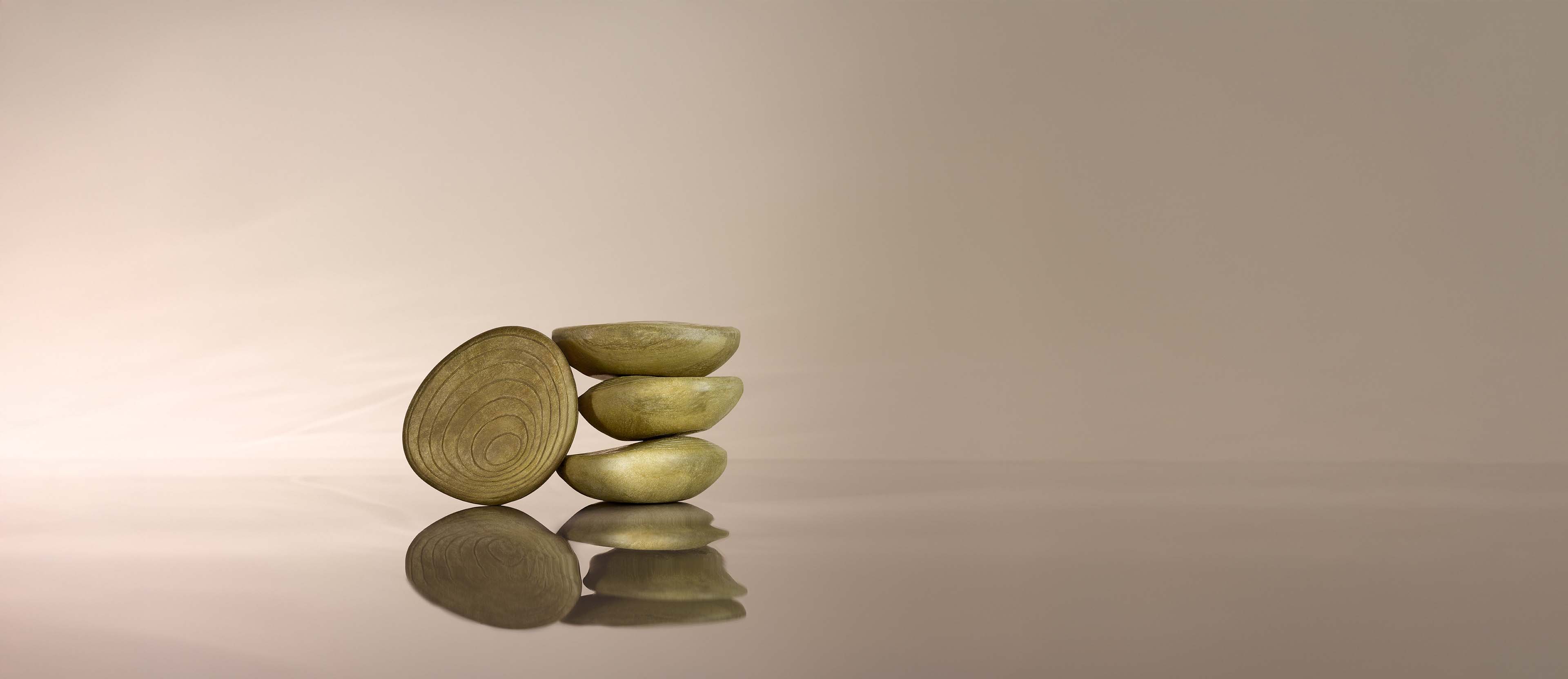 Shampoo de Uso Diario en Barra Biome