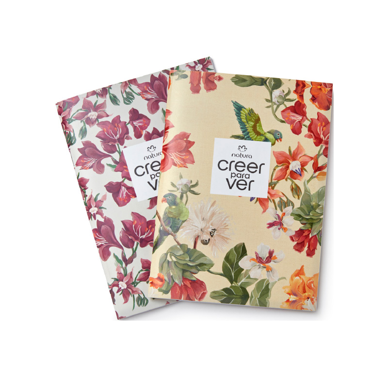 Set de cuadernos Creer para Ver