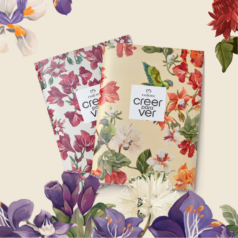 Set de cuadernos Creer para Ver