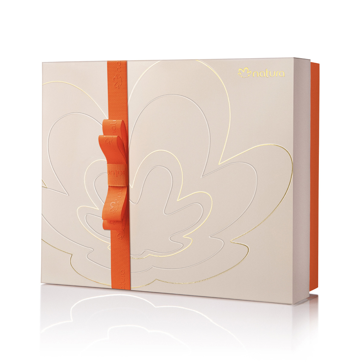 Caja de regalo con lazo