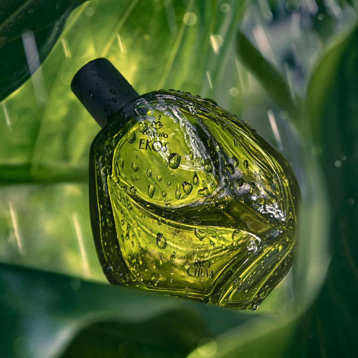 Ekos Ryo Lluvia eau de toilette unisex