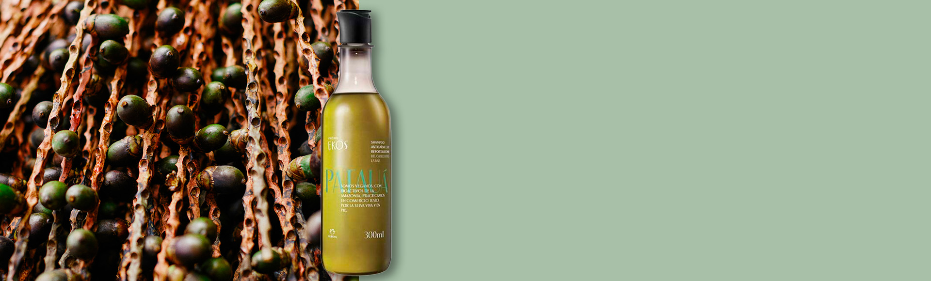 Shampoo Ekos patauá