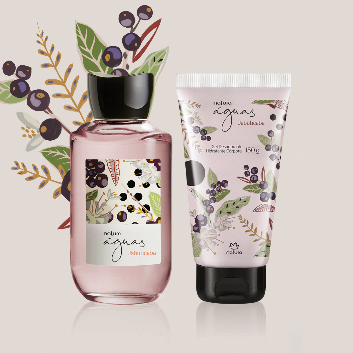 Regalo Águas Jabuticaba